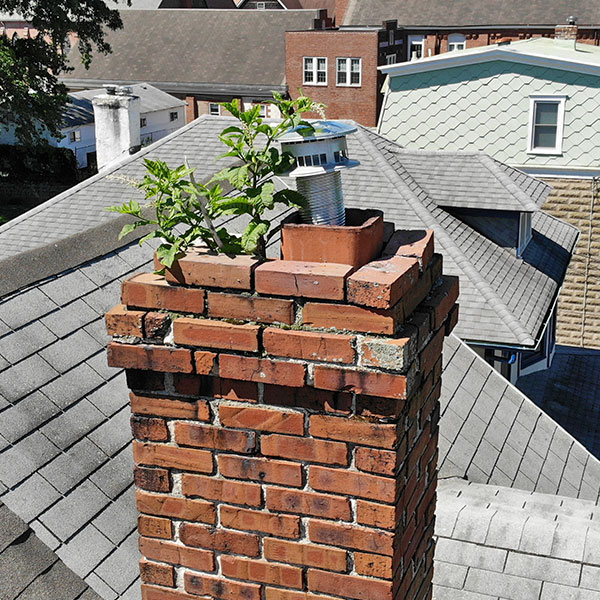 Chimney Leak repair in Keene NH