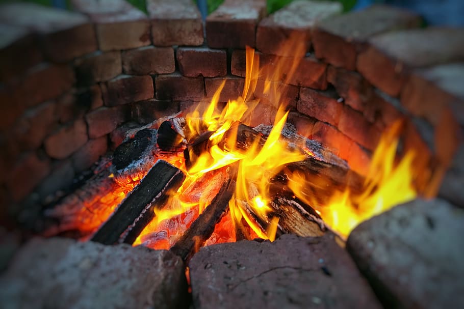 Choosing the Proper Firewood For Your Fireplace